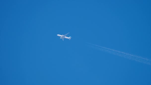 Volando alto en el cielo azul — Vídeos de Stock