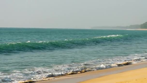 Удивительный вид на песчаный пляж в солнечный день — стоковое видео