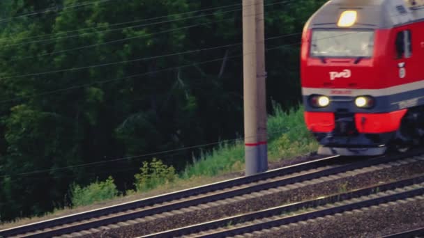 Treno sul ponte sul fiume Ob — Video Stock