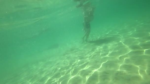 Underwater swimming on tropical sea — Stock Video