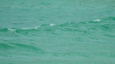 Tatilciler Nai Harn Sahili, Phuket Tayland 'da dalgaların tadını çıkarıyorlar.