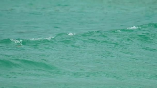 Los turistas disfrutan de las olas en la playa de Nai Harn, Phuket Tailandia — Vídeos de Stock