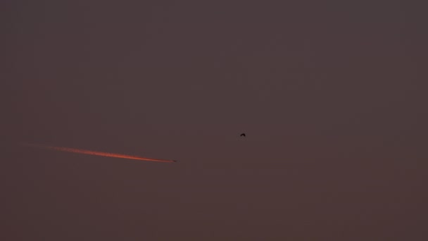 日没時の飛行機の歩道赤い光 — ストック動画