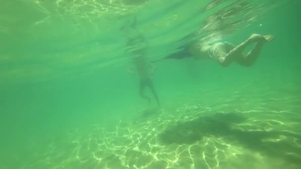Υποβρύχια κολύμβηση στην τροπική θάλασσα — Αρχείο Βίντεο