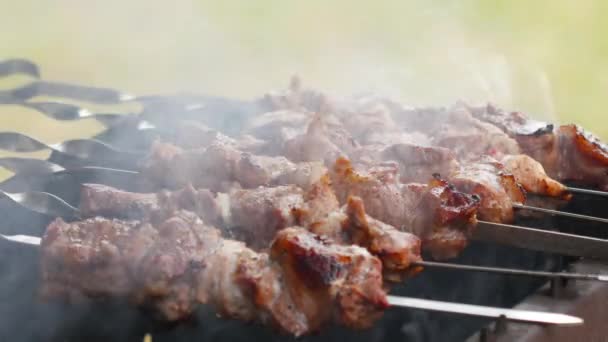 Гриль мясо барбекю в природе — стоковое видео