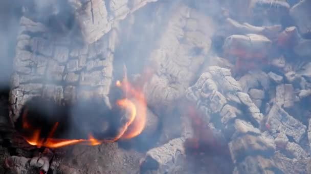 Uhlí z palivového dřeva hoří, pomalu — Stock video