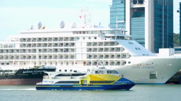 Kapal Lautan di Singapore Cruise Centre — Stok Video