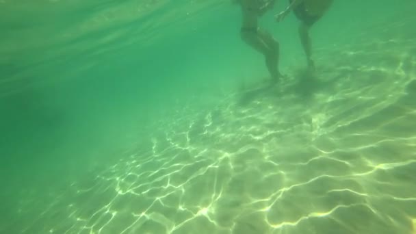 Підводне плавання на тропічному морі — стокове відео