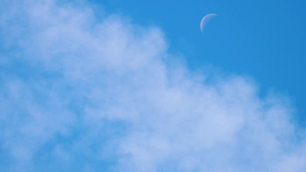 Ένα αεροπλάνο πετάει ψηλά στον γαλάζιο ουρανό — Αρχείο Βίντεο