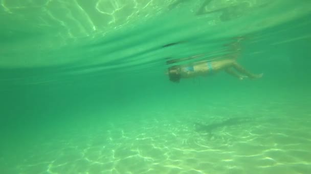 Υποβρύχια κολύμβηση στην τροπική θάλασσα — Αρχείο Βίντεο