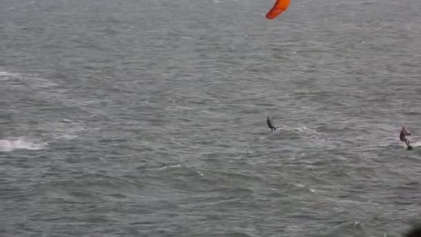 Kitesurfing or kiteboarding season — Video Stock