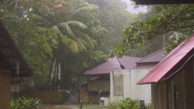 Sert tropik sağanak