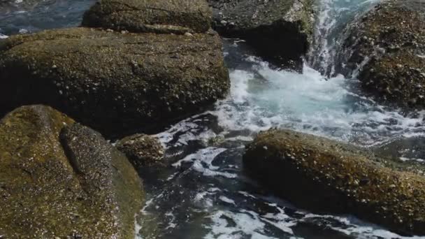 Golven op een rotsachtige kust — Stockvideo