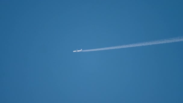 Voando alto no céu azul — Vídeo de Stock