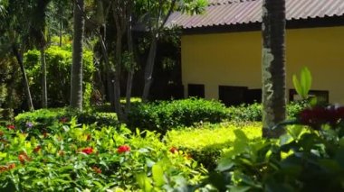 Tropikal bahçede yürümek