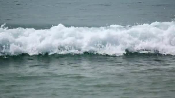 Köpüklü deniz dalgası, sahil — Stok video