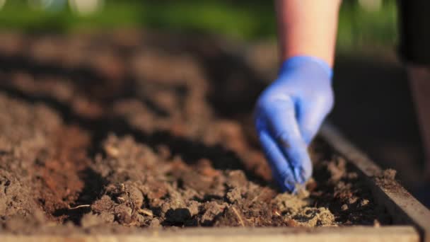 Organic Soil Fertilizers — Video Stock