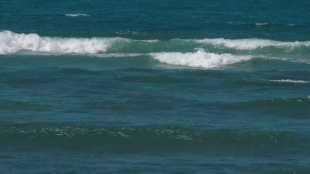 Волны разбились на берегу — стоковое видео