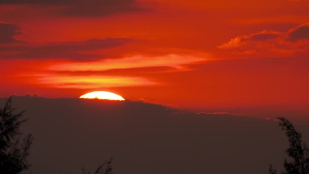 Vacker karmosinblå himmel vid solnedgången — Stockvideo