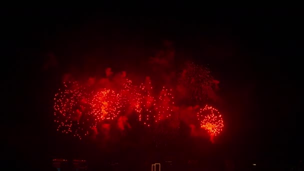 Festive fireworks in the night — Stockvideo