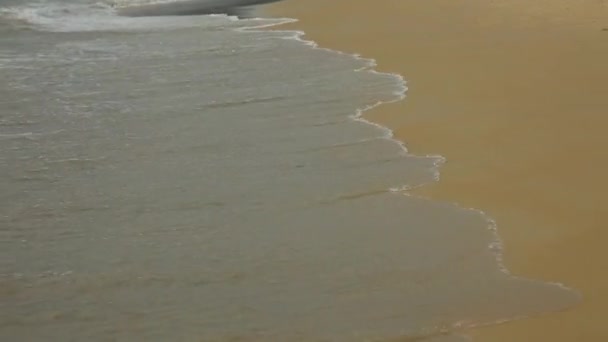 The sea wave rolls onto the shore — стоковое видео