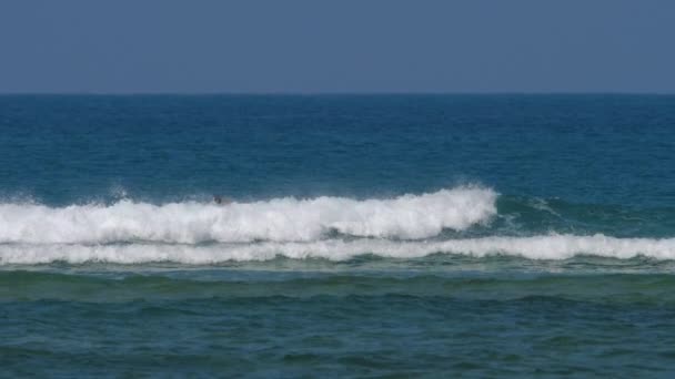 Sörfçü güçlü bir dalganın üzerine düşer — Stok video