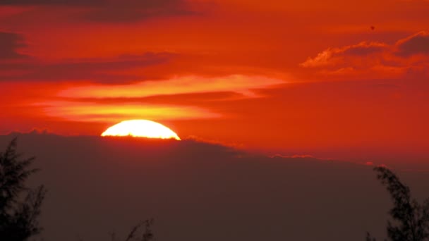 Big sun goes down below the horizon — Stock videók