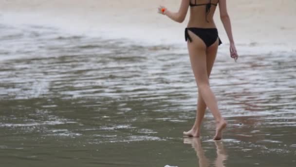 Rear view image of beautiful young barefoot woman — Stock Video