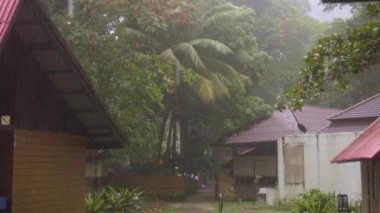 Sert tropik sağanak