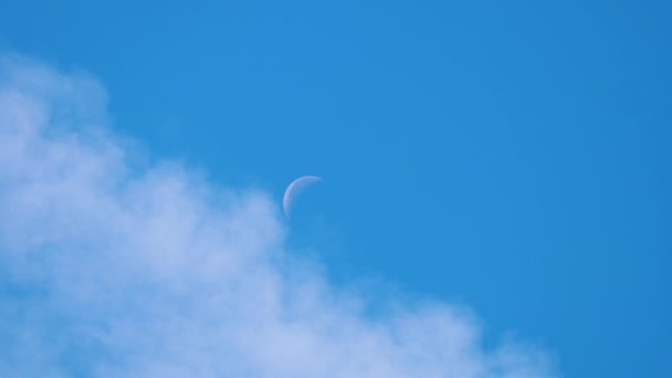 Lune et nuages dans le ciel bleu — Video