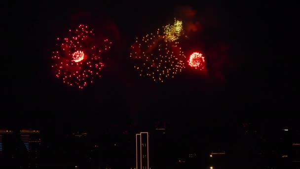 Kembang api yang indah di kota besar — Stok Video
