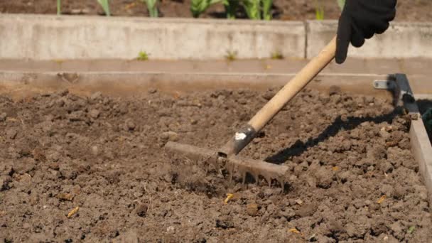 The grower or farmer loosens the soil — Stock Video