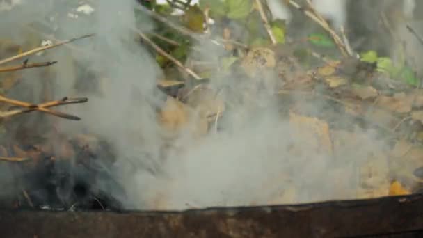Суха трава і листя горять — стокове відео