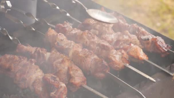 Carne de cerdo a la parrilla jugosa — Vídeos de Stock