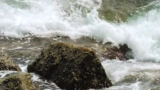 Deniz dalgası, tropik tatil — Stok video