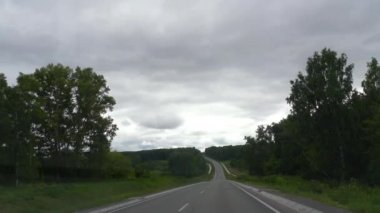 Orman bölgesinde yol.