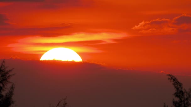 Vacker solnedgång närbild — Stockvideo
