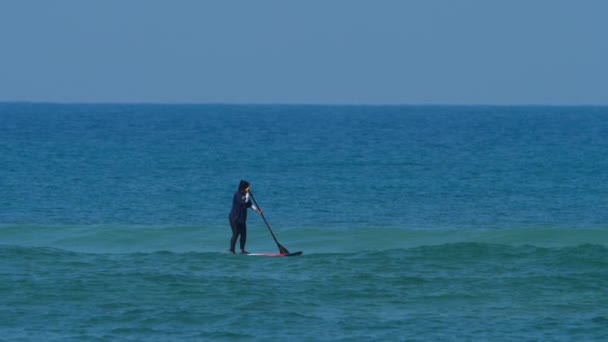 Une fille sur SUP board dans la mer — Video