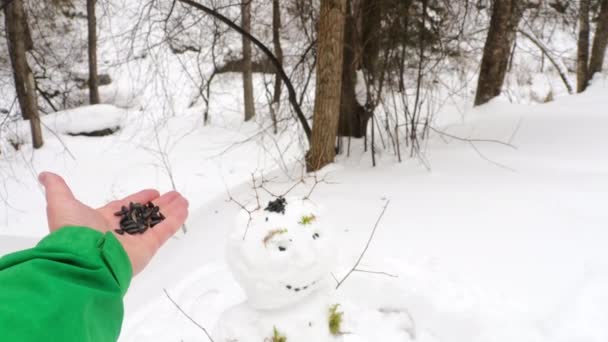 Hombre alimentando aves en invierno — Vídeos de Stock
