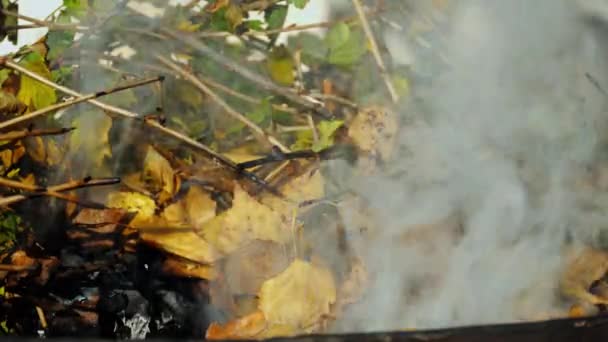 燃烧的秋叶冒出的烟 — 图库视频影像