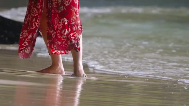 Fille sur la plage dans une robe rouge Clip Vidéo