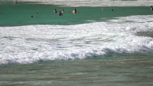 As pessoas nadam no mar Vídeo De Stock Royalty-Free