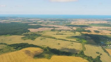 Tarlalar ve ormanlar, uçaktan manzara.