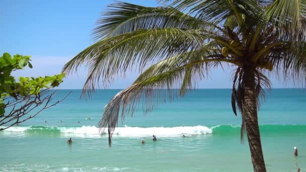 Vista para o belo mar e praia — Vídeo de Stock