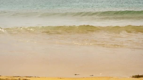 Лазурне море і хвилі, пляж — стокове відео