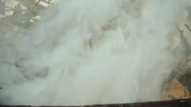 Sonbaharda yanan yapraklardan çıkan duman