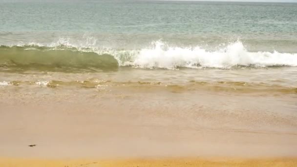Coup lent, vague turquoise de mer Vidéo De Stock