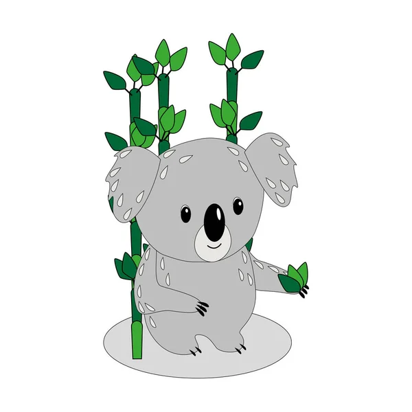 Koala e bambu, folhas, isolado, fundo branco — Vetor de Stock