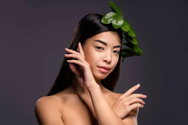 Fénykép bájos gyönyörű kacér csinos modell hölgy levelek haj pózol elszigetelt szürke szín háttér — Stock Fotó