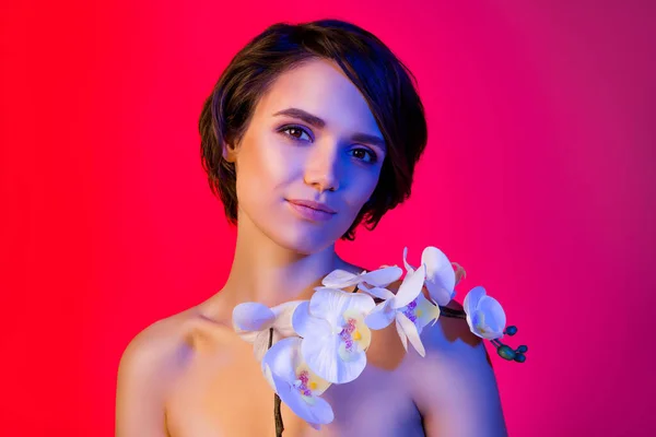 Portret van aantrekkelijke glamoureuze meisje houden frisse orchidee zachte touch geïsoleerde heldere rode multicolor kleur achtergrond — Stockfoto